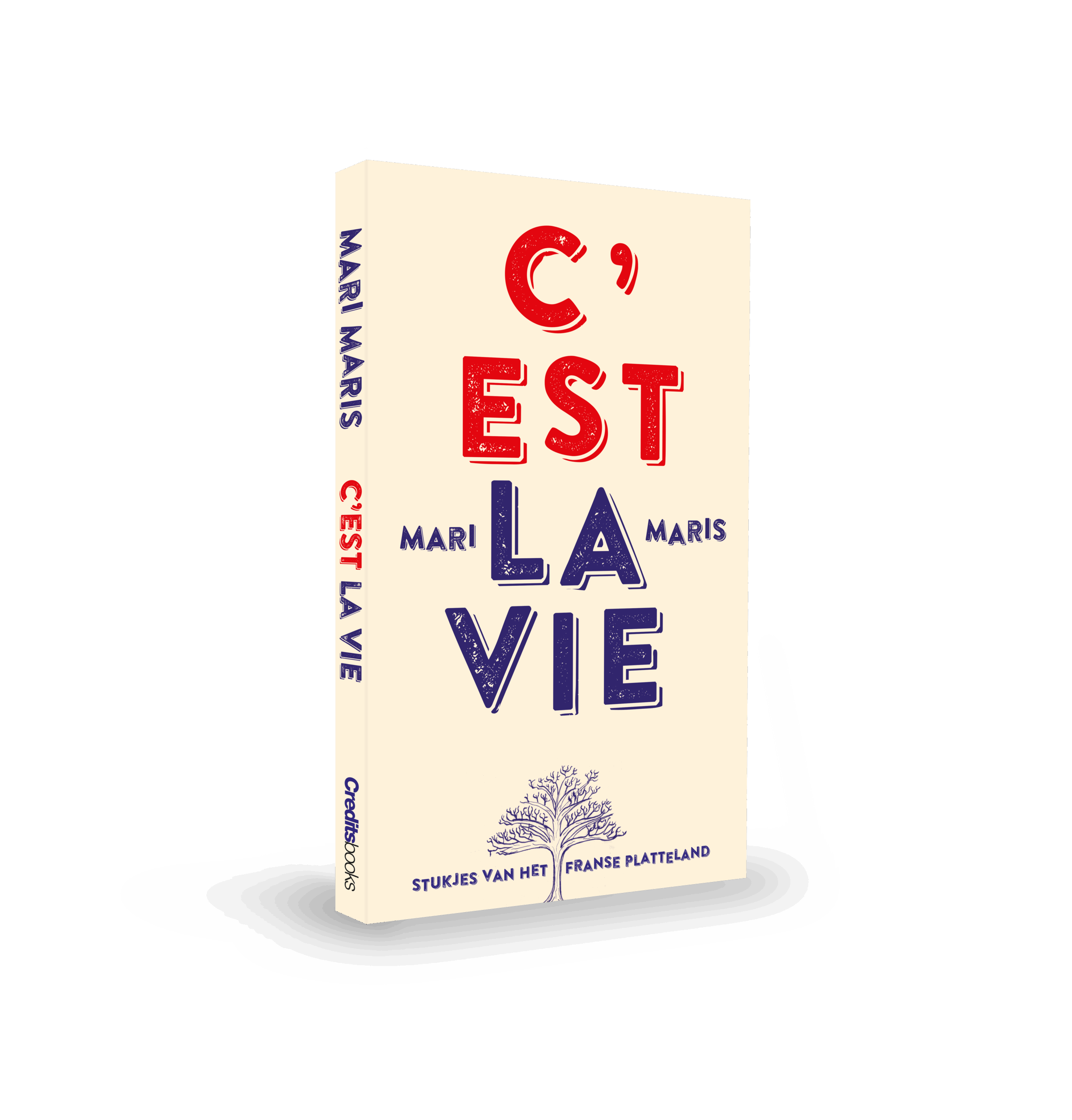MARI cover – mockup